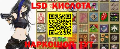 крисы Камышлов