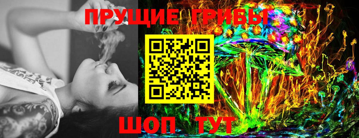 Псилоцибиновые грибы мицелий  Ирбит  Псилоцибиновые грибы прущие грибы 