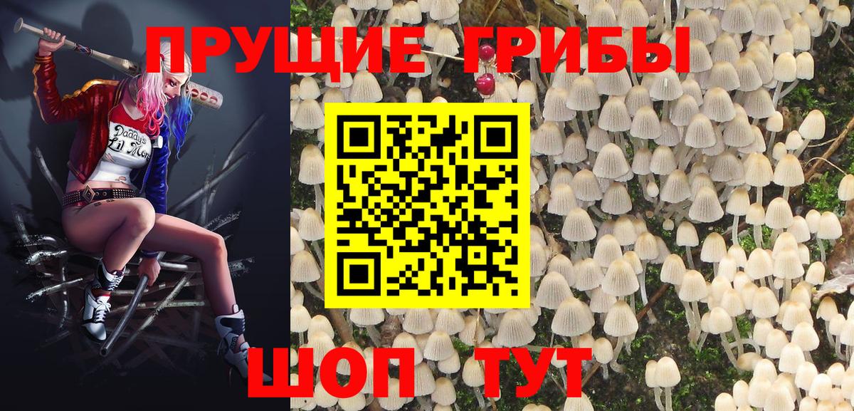 Галлюциногенные грибы GOLDEN TEACHER Ирбит