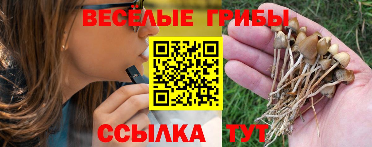 ГАШ  МЕТ  Alpha-PVP СК   Вход с VPN  МЕТАДОН  Ирбит  Меф МЯУ МЯУ   Бошки Шишки  Кокаин 