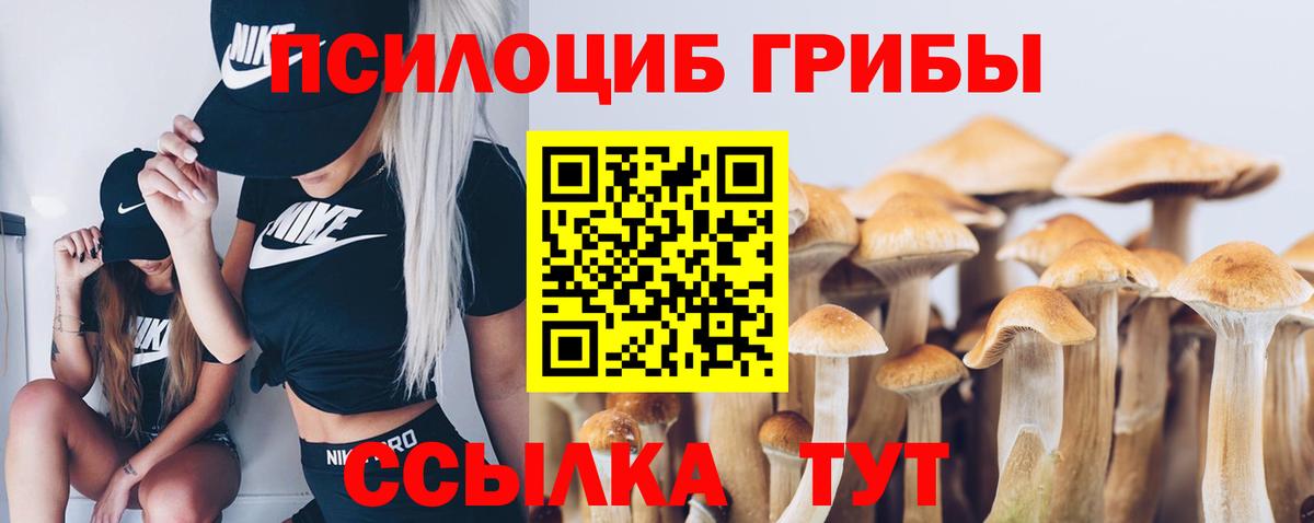 Ирбит  Галлюциногенные грибы MAGIC MUSHROOMS  Вход с VPN 